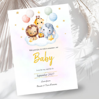 Baby on the Way Announcement