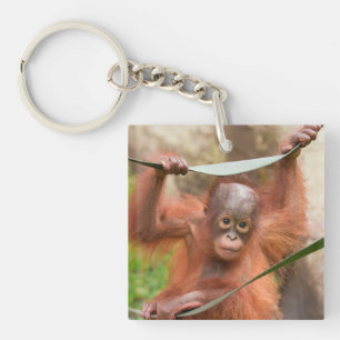 Baby Orangutan Connection Key Ring