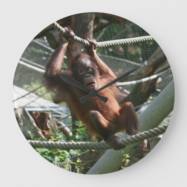 Baby Orangutan - Hang in there Large Clock (Front)