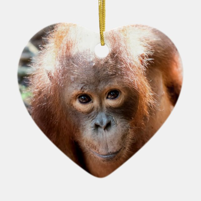 Baby Orangutan Orphan Kobe Ceramic Tree Decoration (Front)
