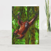 Baby Orangutan & Rainforest Primate Art Gift