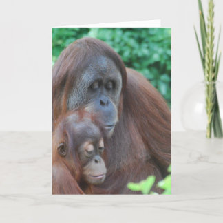 Baby Orangutan with Mother Greeting Card