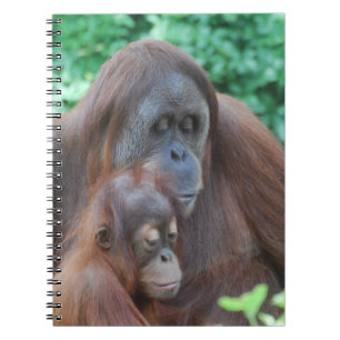 Baby Orangutan with Mother Notebook