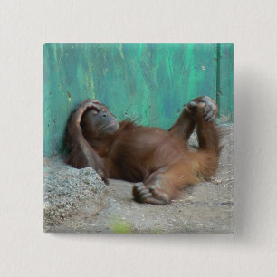 Baby orangutang resting 15 cm square badge