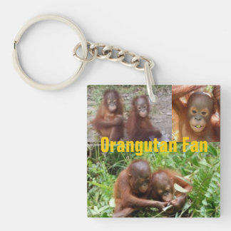 Baby Orangutans in Borneo Key Ring