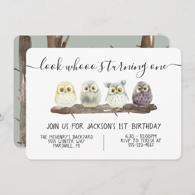 Baby Owl Birthday Party Invitation (Front/Back)
