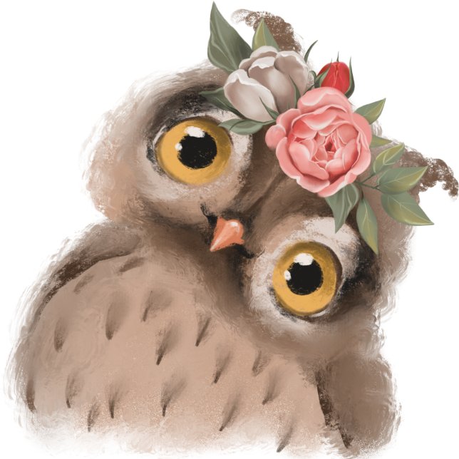 Baby Owl  Case-Mate iPhone Case (Creator Uploaded)