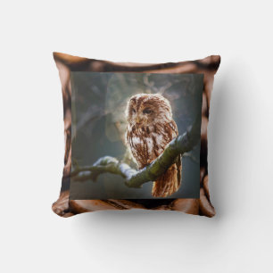 Baby Owl Hoo Cushion