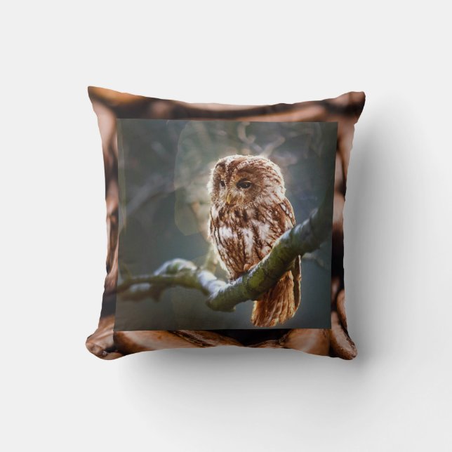 Baby Owl Hoo Cushion (Front)