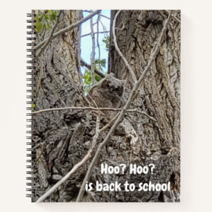 Baby Owl Photo   Hoo? Hoo? Typography Notebook