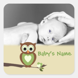 Baby Owl/ Photo Square Sticker