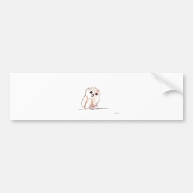 Baby owl small bird bumper sticker (Front)