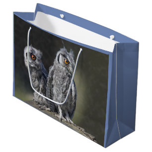 Baby Owls Gift Bag