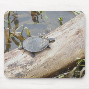 Baby Painted Turtle Mousepad