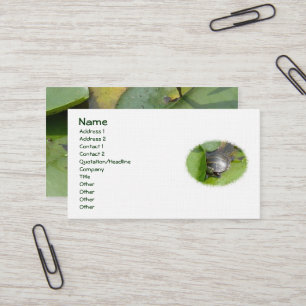 Baby Painted Turtle on Lilypad Business Card