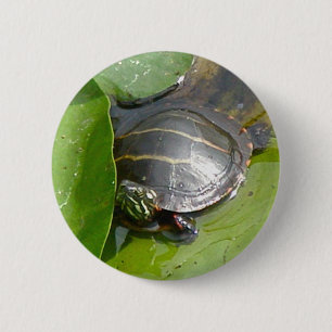 Baby Painted Turtle on Lilypad Items 6 Cm Round Badge
