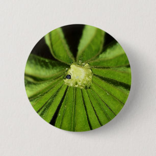 Baby Palm Plant by Shirley Taylor 6 Cm Round Badge