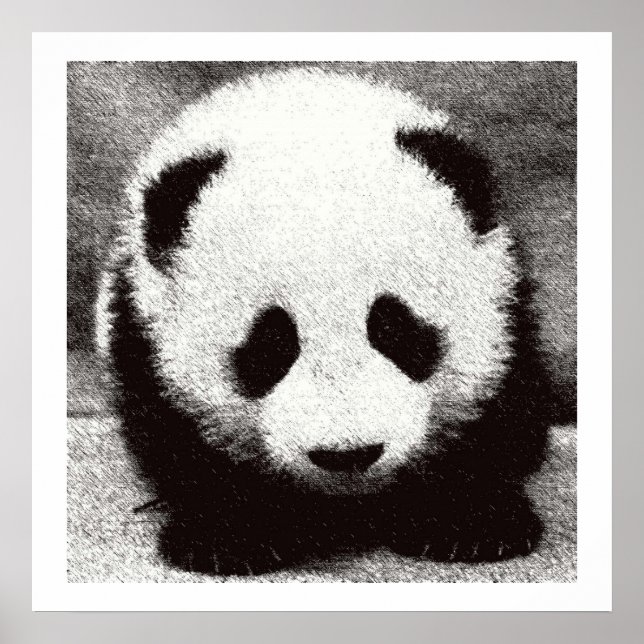 Baby Panda Artwork Posters Prints (Front)