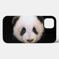 Baby Panda