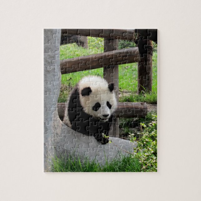 Baby Panda Jigsaw Puzzle (Vertical)