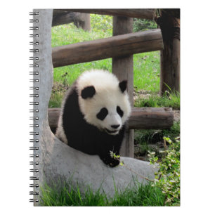 Baby Panda Notebook