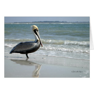 Baby Pelican Card