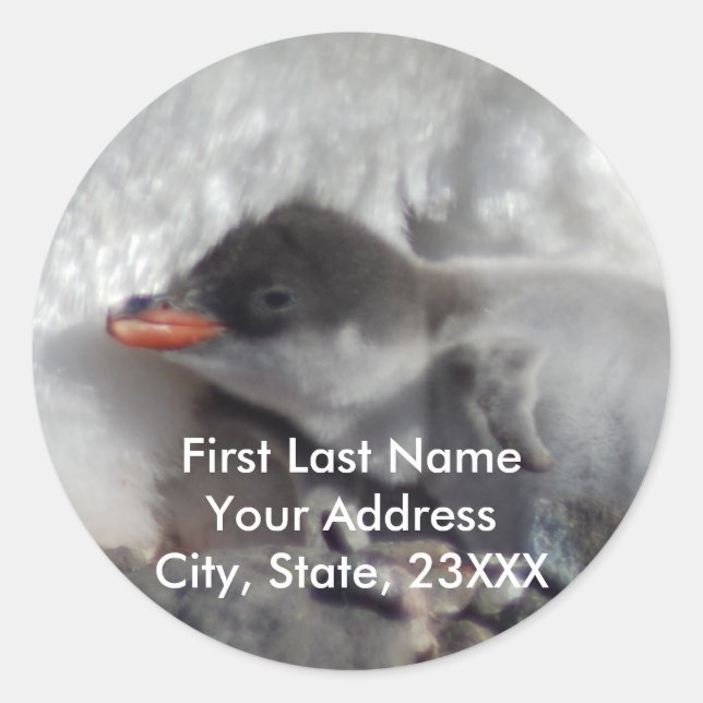 Baby Penguin 2 Return Address Labels or Stickers (Front)