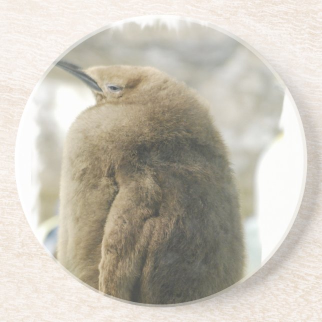 Baby Penguin Coasters (Front)