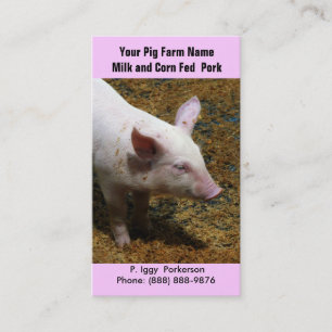 Baby Pig for Pork Farming Business Card