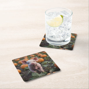 Baby Pig In The Pumpkin Patch, Square Paper Coaster
