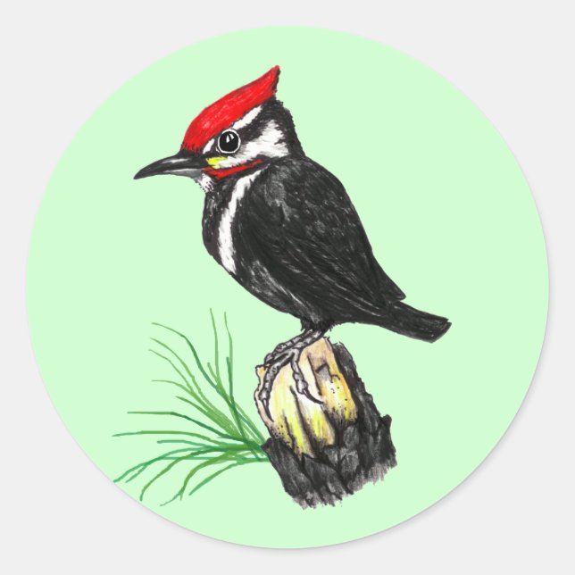 Baby Pileated Woodpecker Stickers (Front)