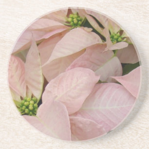 Baby Pink Poinsettia Coaster