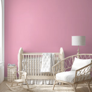 Baby pink solid colour wallpaper
