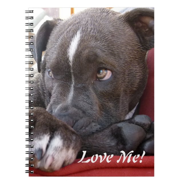 Baby Pitbull Puppies Spiral Notebook (Front)