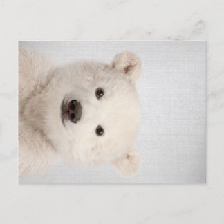 Baby Polar Bear Colourful Holiday Postcard