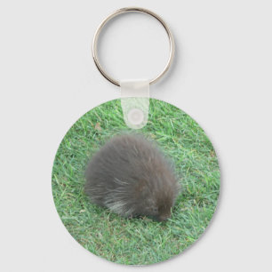 Baby Porcupine Key Ring