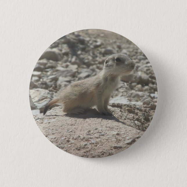 Baby Prairie Dog 6 Cm Round Badge (Front)