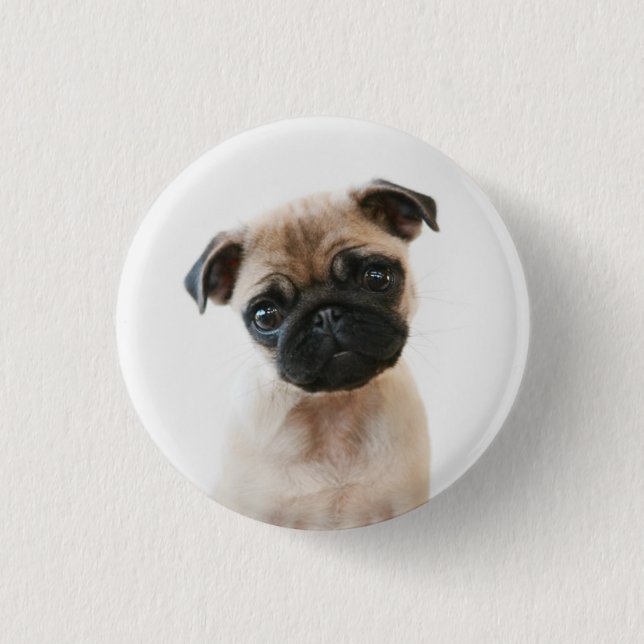 Baby Pug Portrait 3 Cm Round Badge (Front)