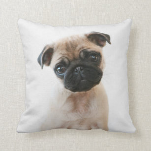 Baby Pug Portrait Cushion