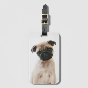 Baby Pug Portrait Luggage Tag
