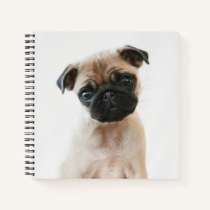 Baby Pug Portrait Notebook