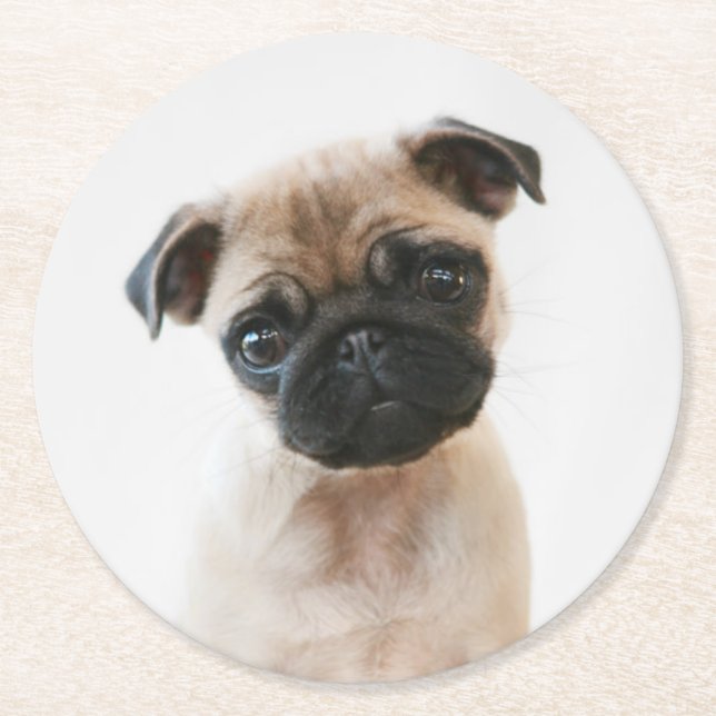 Baby Pug Portrait Round Paper Coaster (Front)