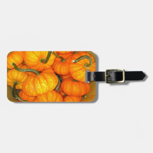 Baby Pumpkin Basket Luggage TAg