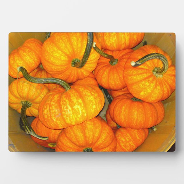 Baby Pumpkin Photo Plaque (Front)
