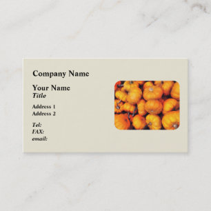 Baby Pumpkins Business Card