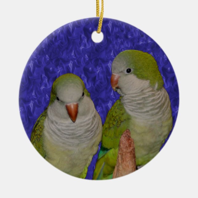 Baby Quaker Parrot Pair Bird Ornament (Front)