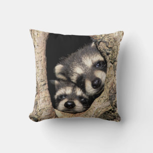 Baby raccoons in tree cavity Procyon Cushion