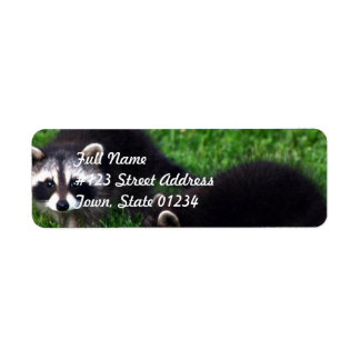 Baby Raccoons Mailing Labels