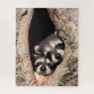 Baby Raccoons Peeking out of Tree Jigsaw Puzzle