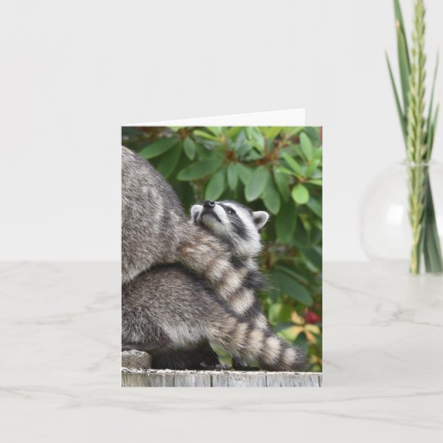 Baby Racoon Card (Front)
